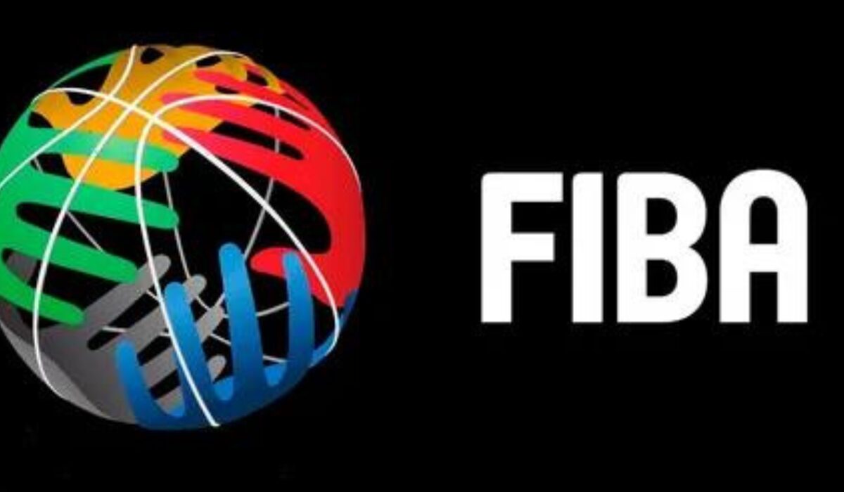 What is FibaHub? A Comprehensive Note