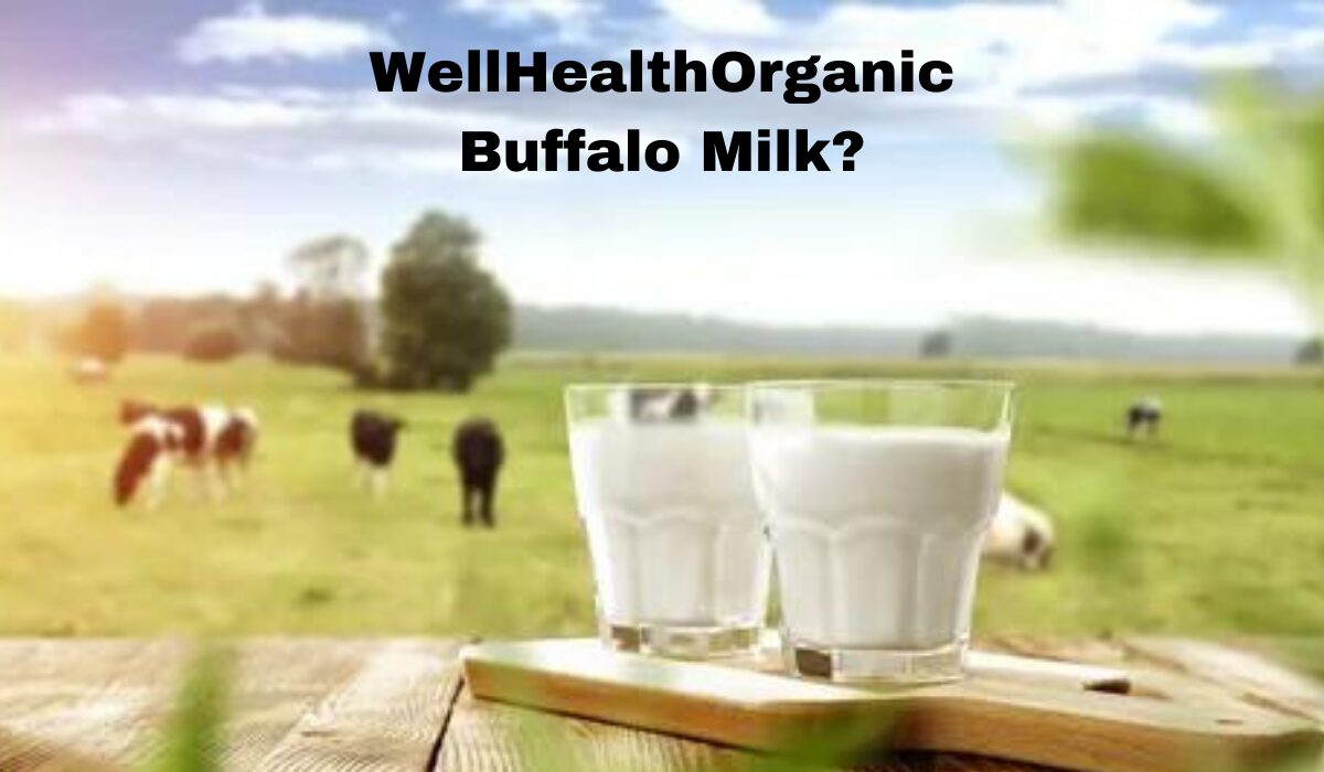 What Is WellHealthOrganic Buffalo Milk?